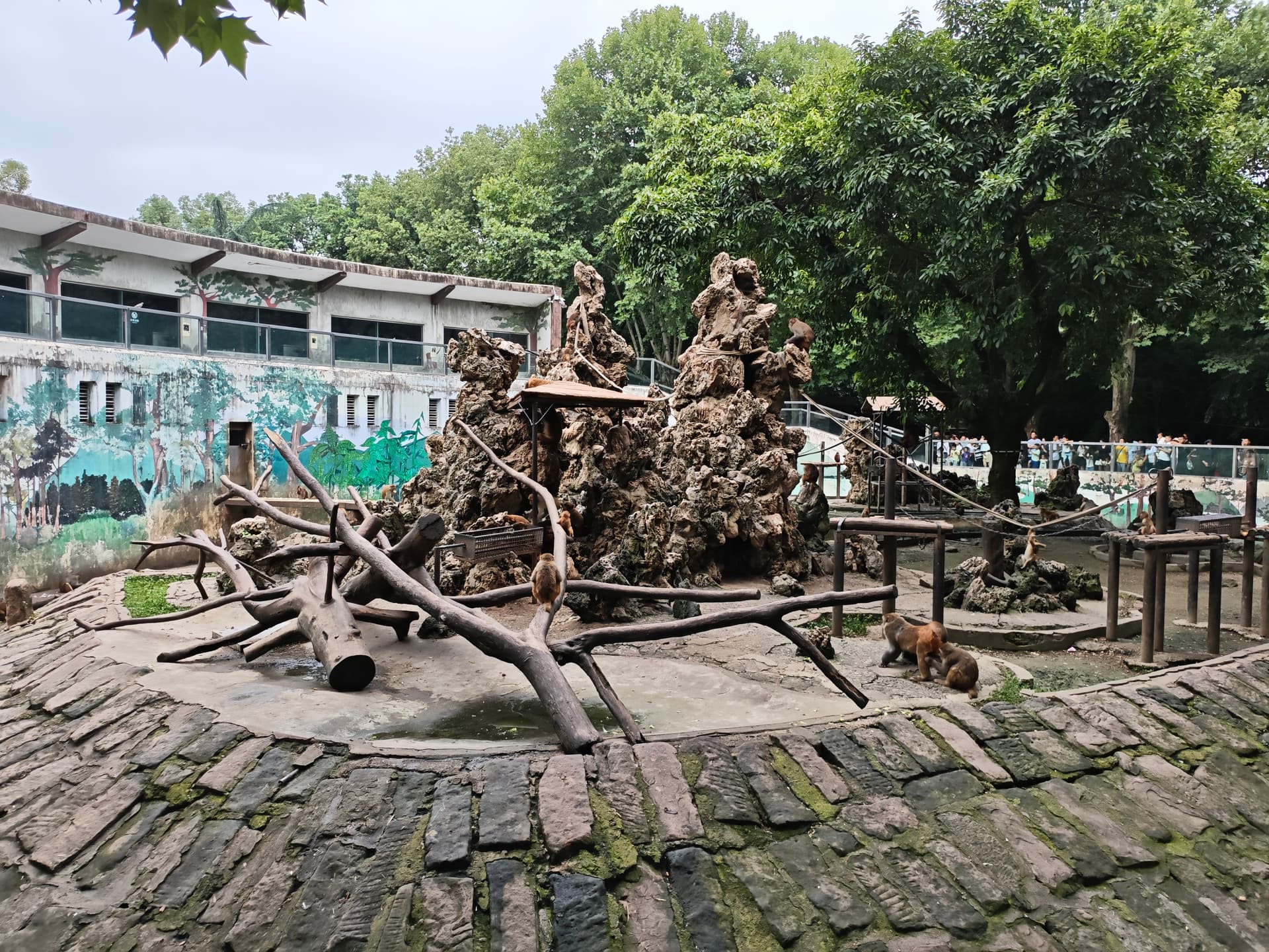 动物园